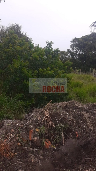 TERRENO EM PRAIA CURUMIM!: 3ª foto da galeria de imagens do imóvel