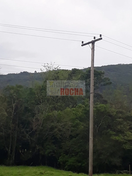 ÁREA DE TERRAS COM AÇUDE EM ITATI!: 38ª foto da galeria de imagens do imóvel