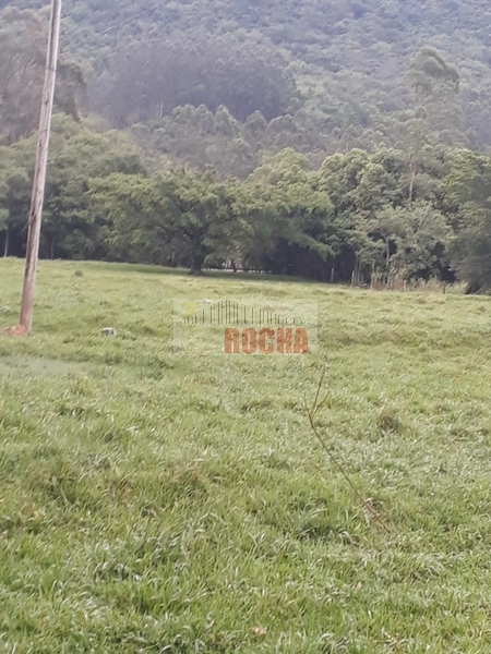 ÁREA DE TERRAS COM AÇUDE EM ITATI!: 21ª foto da galeria de imagens do imóvel