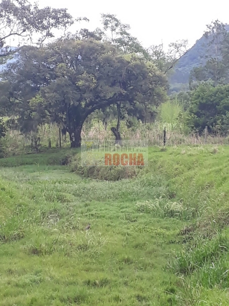 ÁREA DE TERRAS COM AÇUDE EM ITATI!: 19ª foto da galeria de imagens do imóvel