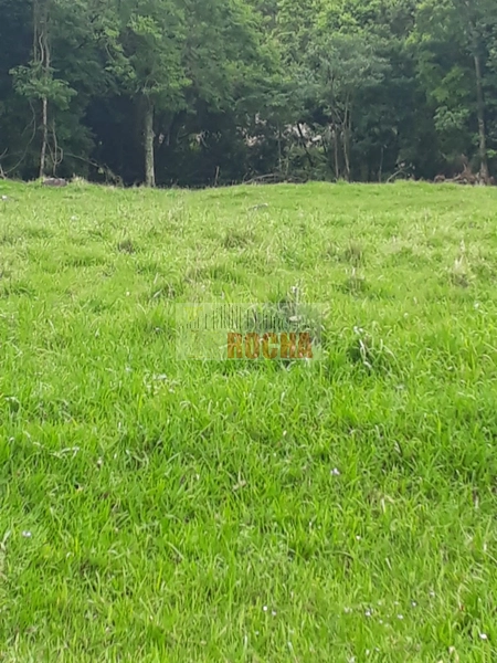 ÁREA DE TERRAS COM AÇUDE EM ITATI!: 8ª foto da galeria de imagens do imóvel