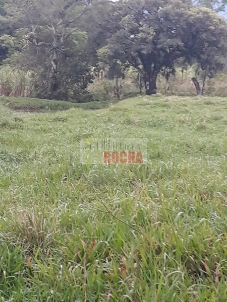 ÁREA DE TERRAS COM AÇUDE EM ITATI!: 22ª foto da galeria de imagens do imóvel