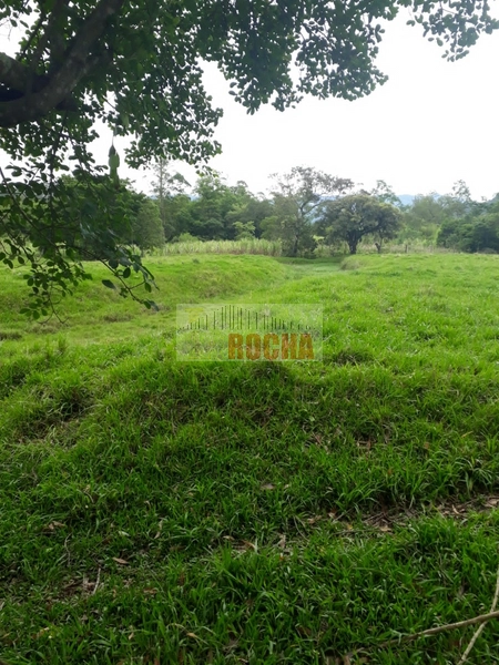 ÁREA DE TERRAS COM AÇUDE EM ITATI!: 14ª foto da galeria de imagens do imóvel