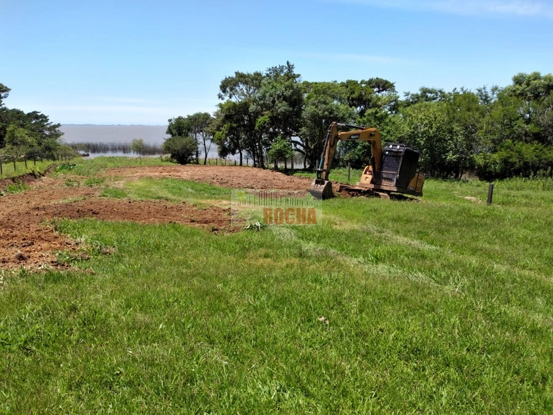 CHÁCARA PRÓXIMO A BR - 101 EM TERRA DE AREIA!: 2ª foto da galeria de imagens do imóvel