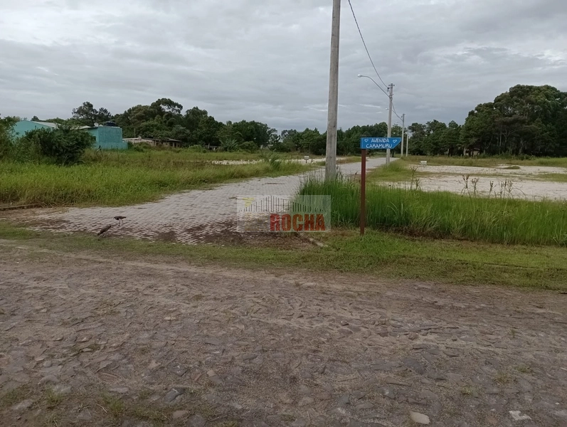 TERRENO DE ESQUINA EM PRAIA CURUMIM!: 5ª foto da galeria de imagens do imóvel