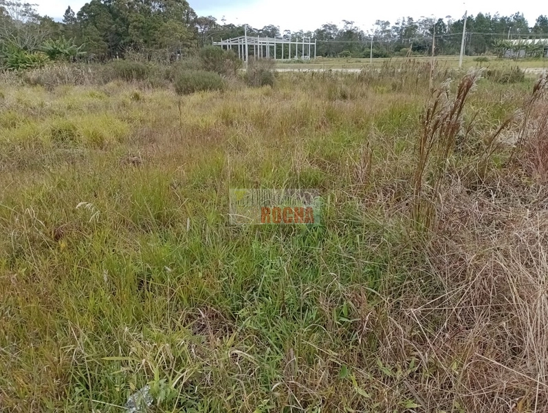IMOBILIÁRIA ROCHA VENDE TERRENO EM PRAIA DE CURUMIM!: 2ª foto da galeria de imagens do imóvel
