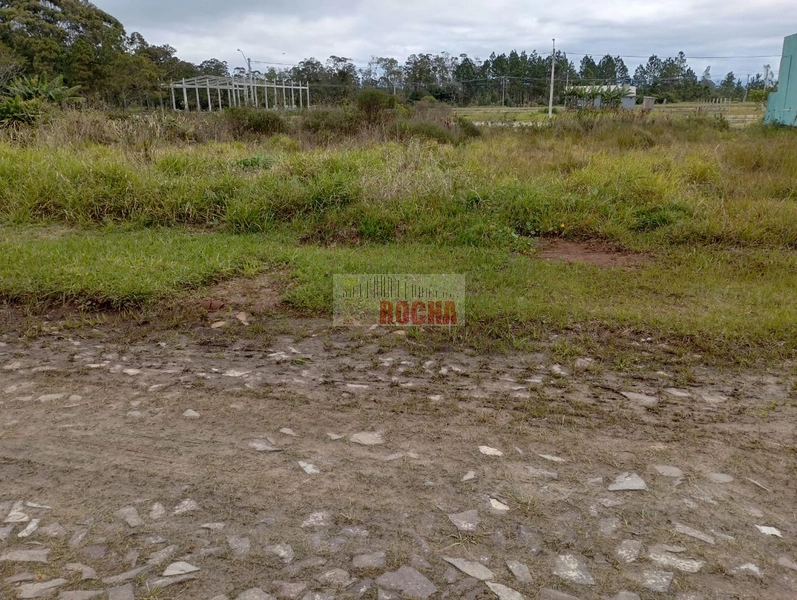 IMOBILIÁRIA ROCHA VENDE TERRENO EM PRAIA DE CURUMIM!: 1ª foto da galeria de imagens do imóvel