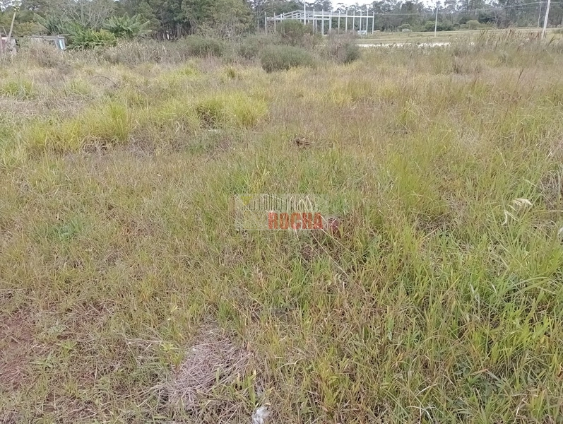 IMOBILIÁRIA ROCHA VENDE TERRENO EM PRAIA DE CURUMIM!: 3ª foto da galeria de imagens do imóvel