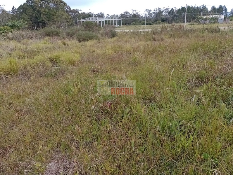 IMOBILIÁRIA ROCHA VENDE TERRENO EM PRAIA DE CURUMIM!: 4ª foto da galeria de imagens do imóvel