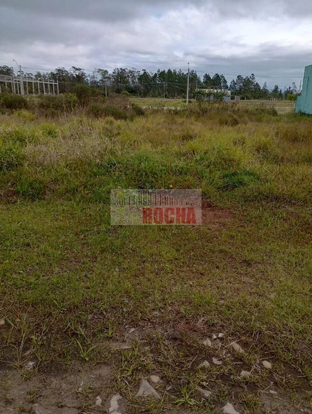 IMOBILIÁRIA ROCHA VENDE TERRENO EM PRAIA DE CURUMIM!: 5ª foto da galeria de imagens do imóvel