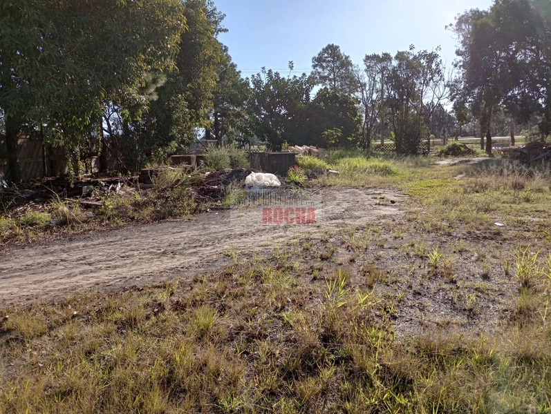 QUATRO TERRENOS COM PONTO CORMERCIAL EM ARROIO TEIXEIRA!: 2ª foto da galeria de imagens do imóvel