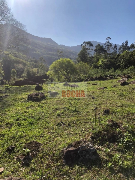 VENDE-SE SÍTIO EM BOA UNIÃO 3 FORQUILHAS!: 5ª foto da galeria de imagens do imóvel