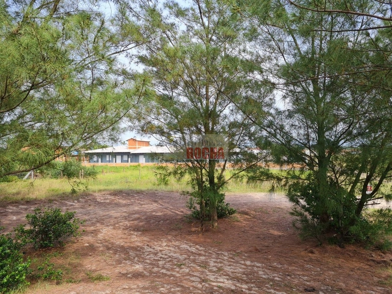 VENDE-SE POUSADA À BEIRA-MAR EM ARROIO TEIXEIRA!: 13ª foto da galeria de imagens do imóvel