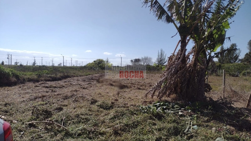 TERRENO EM PRAIA NOVO CURUMIM!: 3ª foto da galeria de imagens do imóvel