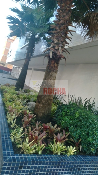 APARTAMENTO COM VISTA PARA A PRAIA EM ZONA NOVA!: 14ª foto da galeria de imagens do imóvel