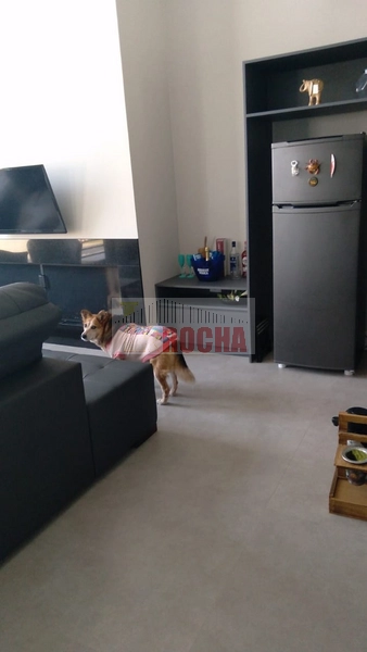 CASA EM CONDOMÍNIO TERRASUL!: 13ª foto da galeria de imagens do imóvel