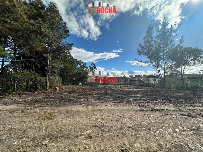 DOIS TERRENOS EM PRAIA DE ARROIO TEIXEIRA!: 2ª foto da galeria de imagens do imóvel