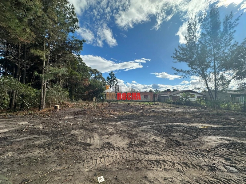 DOIS TERRENOS EM PRAIA DE ARROIO TEIXEIRA!: 1ª foto da galeria de imagens do imóvel
