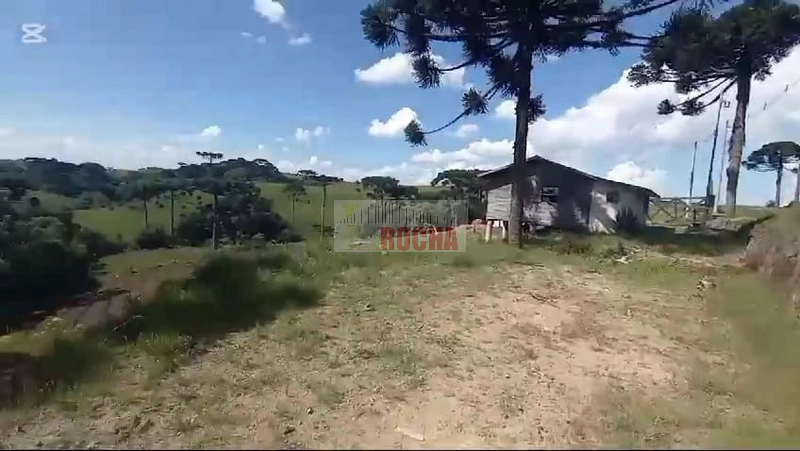 SÍTIO COM CASA MISTA A 33KM DE CAXIAS!: 2ª foto da galeria de imagens do imóvel