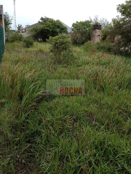 TERRENO PRÓXIMO A PRAÇA EM PRAIA CURUMIM!: 1ª foto da galeria de imagens do imóvel