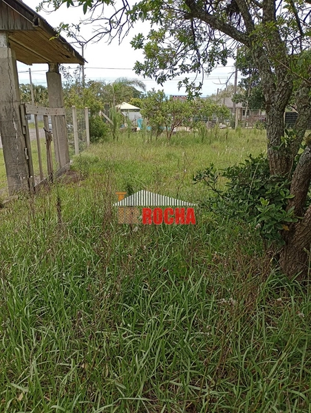EXCLUSIVIDADE! TERRENOS JUNTOS EM PRAIA DE ARROIO TEIXEIRA!: 8ª foto da galeria de imagens do imóvel