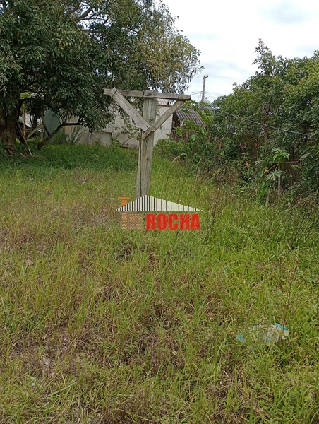EXCLUSIVIDADE! TERRENOS JUNTOS EM PRAIA DE ARROIO TEIXEIRA!: 3ª foto da galeria de imagens do imóvel