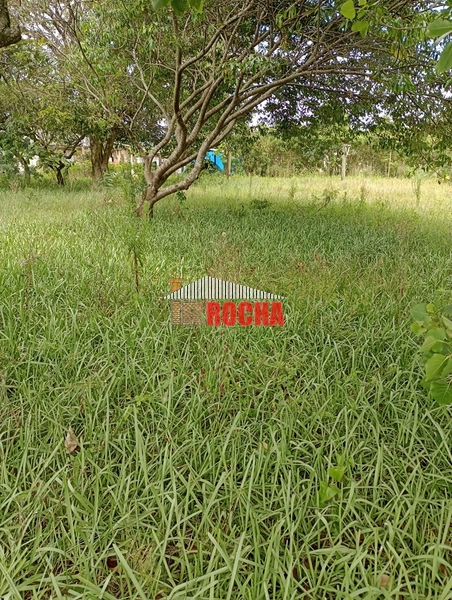 EXCLUSIVIDADE! TERRENOS JUNTOS EM PRAIA DE ARROIO TEIXEIRA!: 6ª foto da galeria de imagens do imóvel