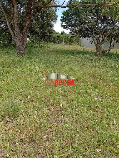 EXCLUSIVIDADE! TERRENOS JUNTOS EM PRAIA DE ARROIO TEIXEIRA!: 5ª foto da galeria de imagens do imóvel