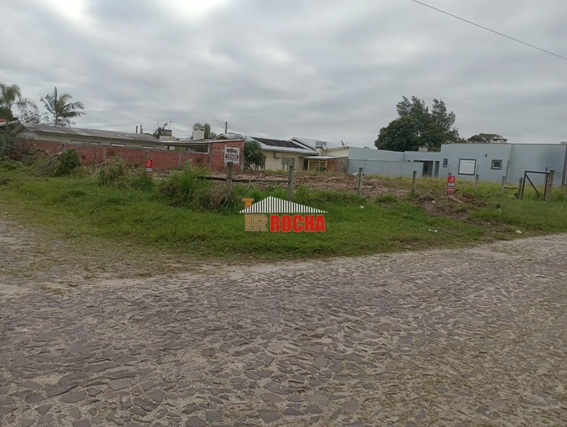 EXCLUSIVIDADE! TERRENO ALTO DE ESQUINA EM ARROIO TEIXEIRA!: 2ª foto da galeria de imagens do imóvel