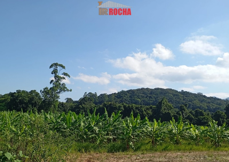 ÁREA DE TERRAS COM BANANAL!: 3ª foto da galeria de imagens do imóvel