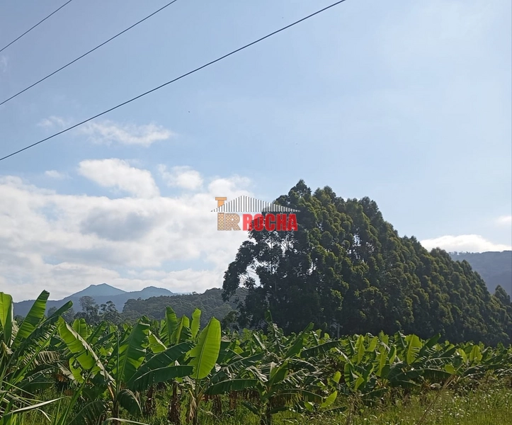 ÁREA DE TERRAS COM BANANAL!: 3ª foto da galeria de imagens do imóvel