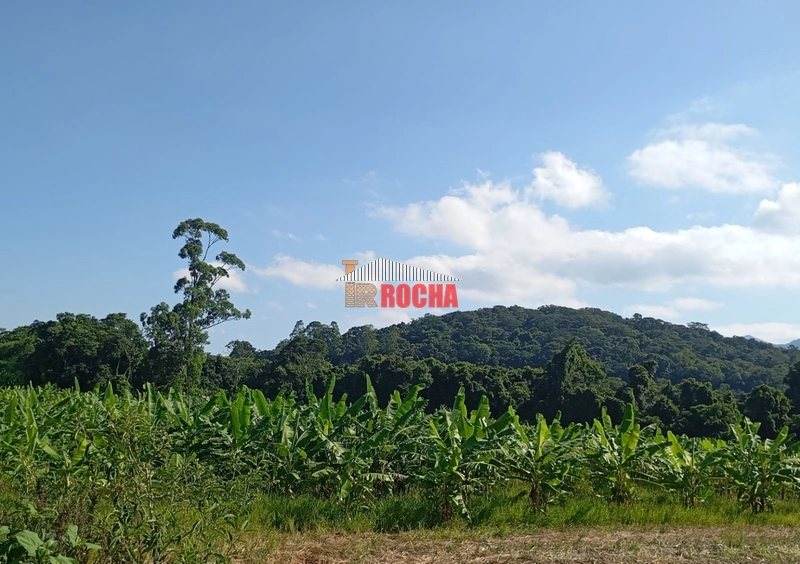 ÁREA DE TERRAS COM BANANAL!: 1ª foto da galeria de imagens do imóvel