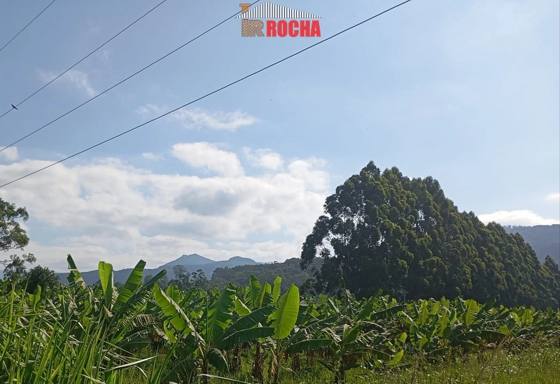 ÁREA DE TERRAS COM BANANAL!: 1ª foto da galeria de imagens do imóvel
