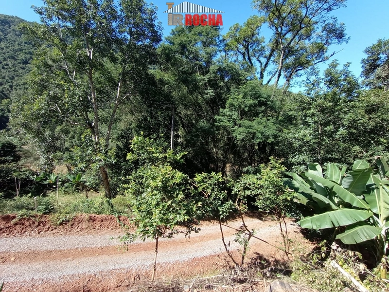 LINDO SÍTIO COM CHALÉ EM LAJEADO!: 8ª foto da galeria de imagens do imóvel