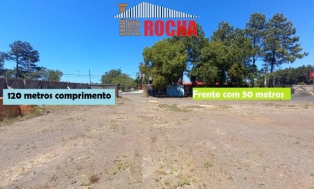 4 TERRENOS JUNTOS EM ROTA DO SOL!: 5ª foto da galeria de imagens do imóvel