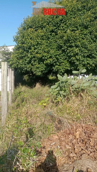 TERRENO A 5 QUADRAS DO MAR!: 3ª foto da galeria de imagens do imóvel