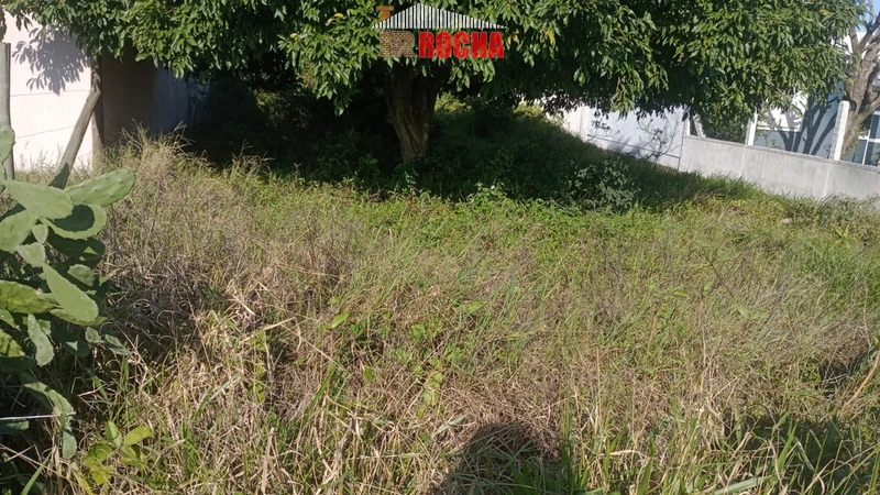 TERRENO A 5 QUADRAS DO MAR!: 1ª foto da galeria de imagens do imóvel