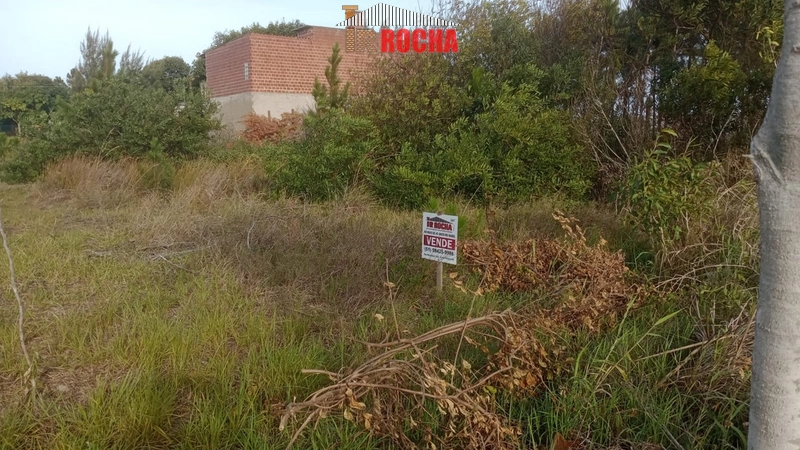 TERRENO EM RUA SEM SAÍDA EM PRAIA DE ARROIO TEIXEIRA!: 1ª foto da galeria de imagens do imóvel