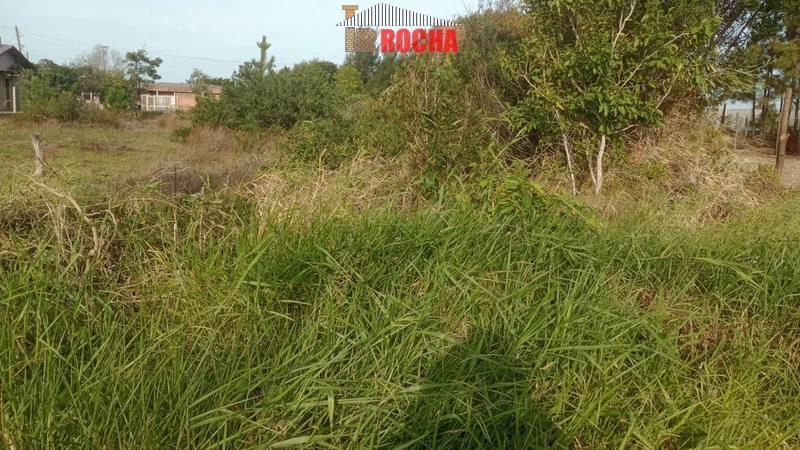 TERRENO EM RUA SEM SAÍDA EM PRAIA DE ARROIO TEIXEIRA!: 2ª foto da galeria de imagens do imóvel