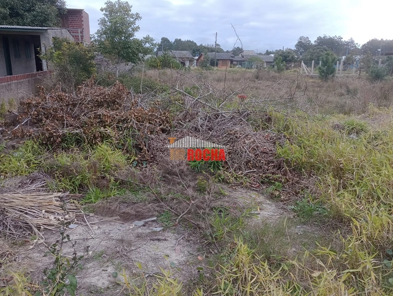 TERRENO FRENTE LESTE MAR EM PRAIA DE ARROIO TEIXEIRA!: 1ª foto da galeria de imagens do imóvel