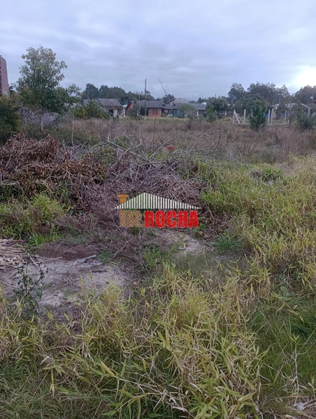TERRENO FRENTE LESTE MAR EM PRAIA DE ARROIO TEIXEIRA!: 2ª foto da galeria de imagens do imóvel
