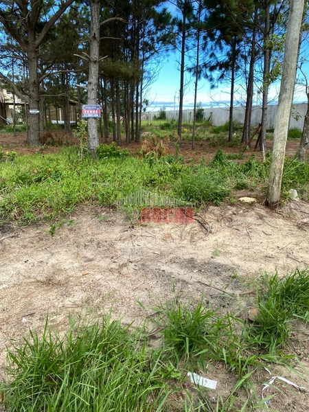 TERRENO  A POUCOS METROS DO MAR EM ARROIO TEIXEIRA!: 2ª foto da galeria de imagens do imóvel