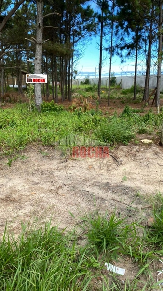 TERRENO A POUCOS METROS DO MAR EM ARROIO TEIXEIRA!