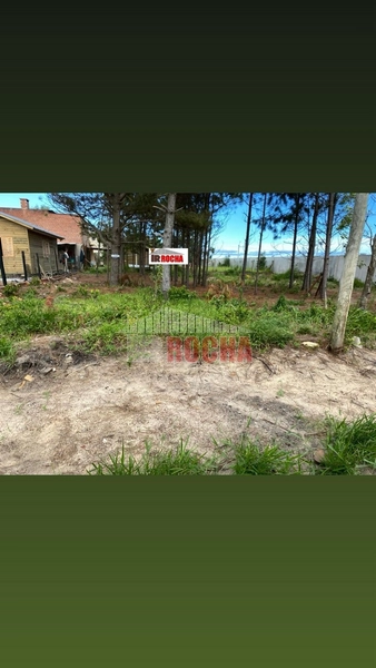 TERRENO  A POUCOS METROS DO MAR EM ARROIO TEIXEIRA!: 2ª foto da galeria de imagens do imóvel