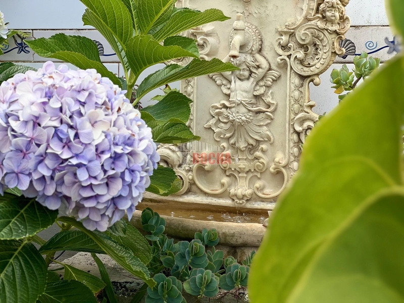 LINDO SOBRADO EM PRAIA DE CAPÃO DA CANOA!: 4ª foto da galeria de imagens do imóvel