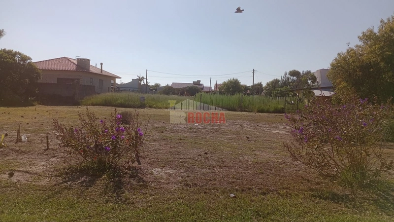 TERRENO EM PRAIA ARROIO TEIXEIRA!: 4ª foto da galeria de imagens do imóvel