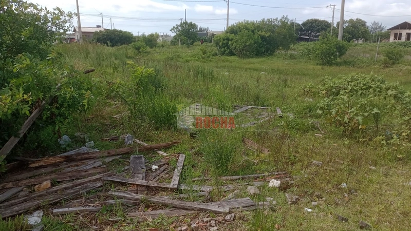 TERRENO EM PRAIA CAPÃO NOVO: 3ª foto da galeria de imagens do imóvel
