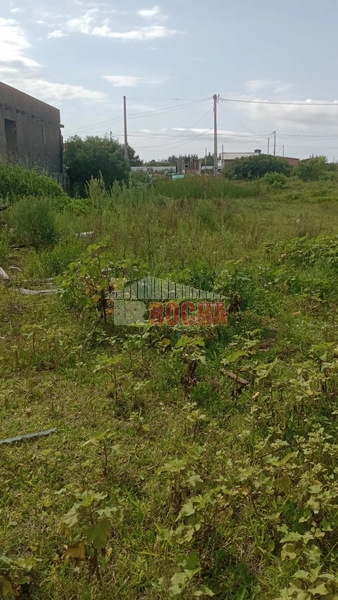 TERRENO EM PRAIA CAPÃO NOVO: 1ª foto da galeria de imagens do imóvel