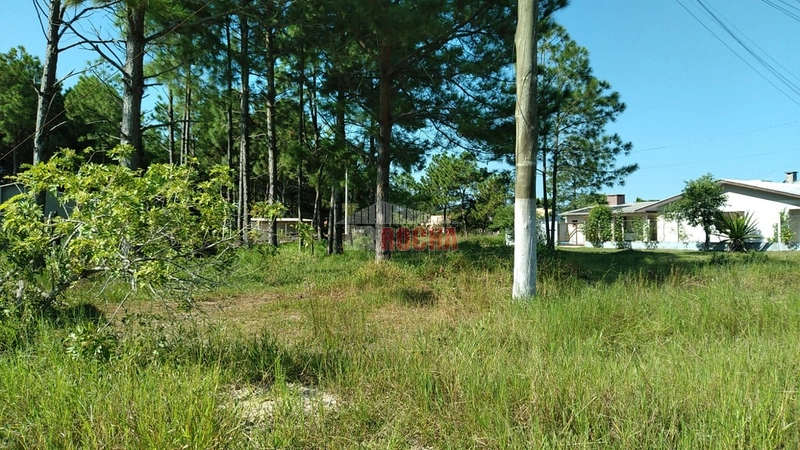 TERRENO EM ÓTIMA LOCALIZAÇÃO EM PRAIA ARROIO TEIXEIRA!: 4ª foto da galeria de imagens do imóvel