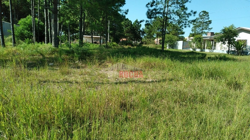 TERRENO EM ÓTIMA LOCALIZAÇÃO EM PRAIA ARROIO TEIXEIRA!: 3ª foto da galeria de imagens do imóvel